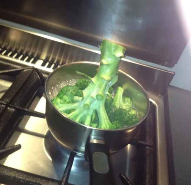 Khi mẹ chồng nhờ nấu canh súp lơ xanh và cách cô gái thực hiện.