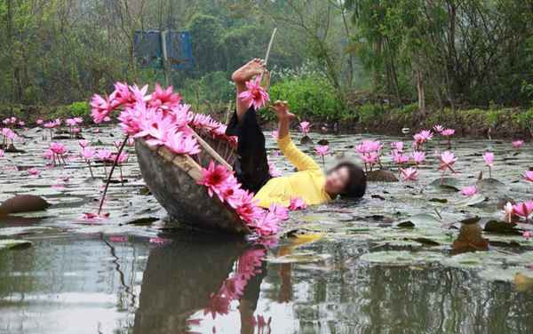 Cụ thể, một cô gái trẻ đã nằm đè lên luống hoa cúc họa mi để tạo dáng, trong khi cô bạn còn lại thì giơ điện thoại lên để chụp ảnh cho bạn mình.