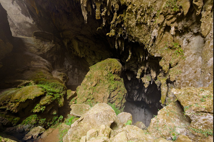 Tất cả các bức ảnh của Son Doong in 360º đều có dung lượng rất lớn, do đó độc giả hoàn toàn có thể phóng to chúng để xem từng chi tiết. Ngoài ra, độc giả cũng có thể dùng chuột (hoặc màn hình cảm ứng) để xoay ảnh tròn 360º, độc giả còn có thể nghe thấy những âm thanh của rừng núi như tiếng chim hót, tiếng lá cây xào xạc… Ước tính chiều dài của hệ thống hang động tại Phong Nha - Kẻ Bàng lên tới hơn 200km. Cửa vào hang Sơn Đoòng là một dốc thoải trơn trượt chui vào bóng tối.