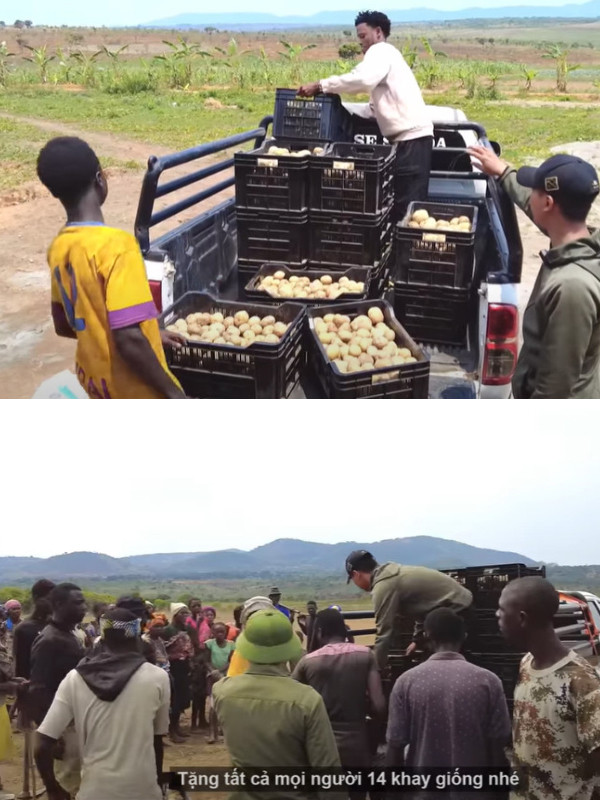 Đáng chú ý, Quang Linh quyết định không bán mà dành 700kg thu hoạch được để hỗ trợ người dân có thêm lương thực cũng như giống cây trồng. Ảnh: YouTube Quang Linh Vlogs