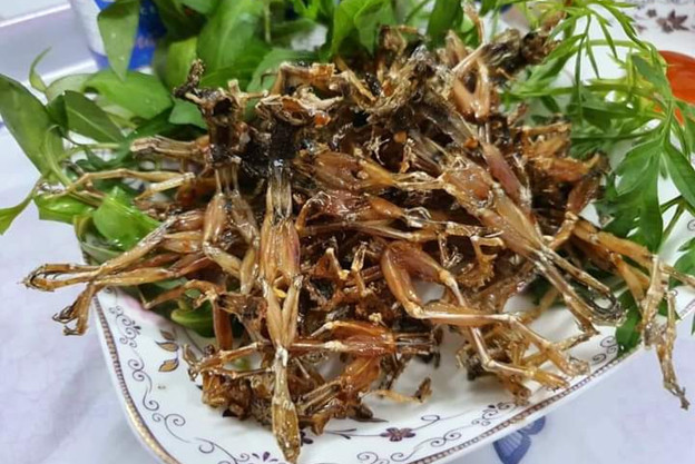 Khô nhái hay còn gọi "vũ nữ chân dài" đặc sản nức tiếng ở miền Tây. Loại động vật này có kích thước nhỏ và phải chế biến công phu nên có giá bán khá cao. Ảnh: Công luận