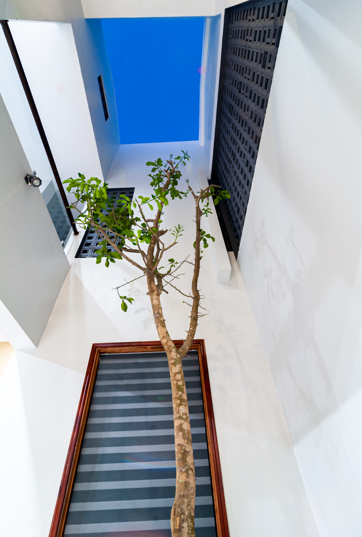 Khoảng thông tầng kết hợp cây xanh ở giữa đảm bảo vừa đủ để đối lưu không khí nhưng ngăn không cho gió lạnh lùa vào.