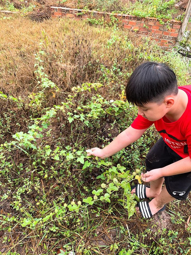 Những lúc được về trang trại, bé Cà Pháo được câu cá, hái rau, lội sình, khám phá thiên nhiên.