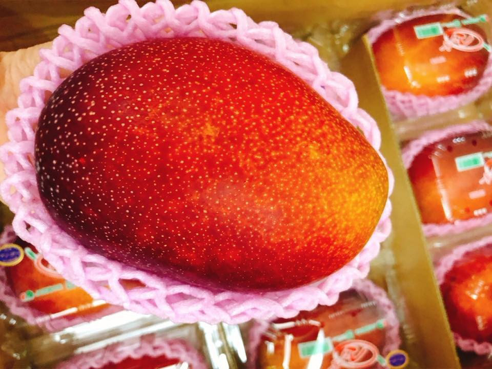 Loại xoài này vỏ màu đỏ, ruột vàng, không dính xơ có đột ngọt cao hơn 15% so với bình thường. Ảnh: Facebook