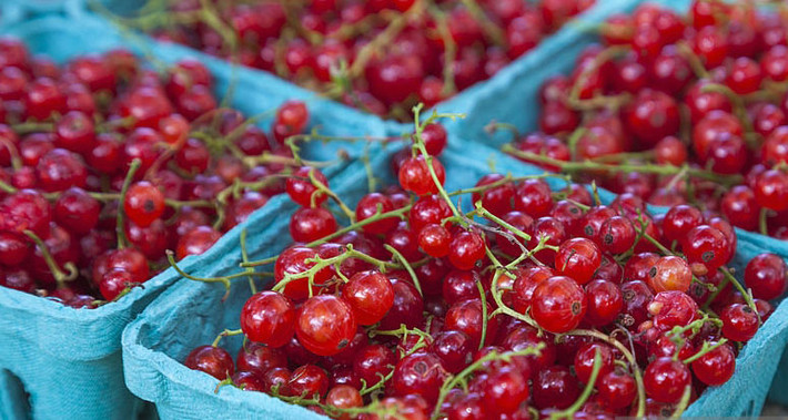 Quả lý chua bán trong các siêu thị ở Pháp có giá khoảng 500.000 đồng/kg. Trong khi đó, chúng được bán ở Việt Nam với giá 2 triệu đồng/kg, dưới cái tên mĩ miều "nho chuỗi ngọc". Ảnh: Getty Image.