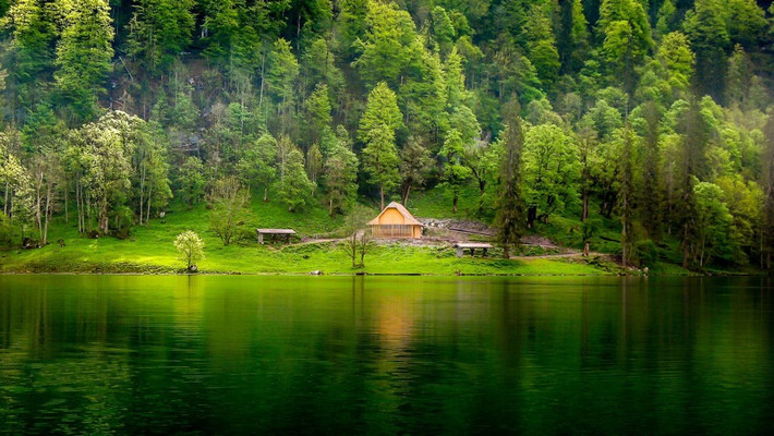 Ngôi nhà trong rừng như bước ra từ thế giới thần tiên. Ảnh: Wallpapers13.