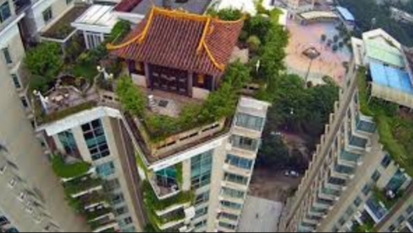 Một công trình giống ngôi chùa được xây dựng trên nóc tòa chung cư 20 tầng ở thành phố Shenzhen, miền nam Trung Quốc. Ảnh: Reuters.