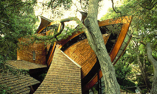 Còn đây là tác phẩm tại Los Altos, California, Mỹ của kiến trúc sư Bart Prince. Ảnh: BartPrince.