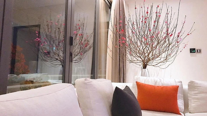 Bên trong biệt thự được thiết kế theo phong cách trẻ trung, hiện đại và không kém phần sang trọng. Ảnh: FBNV