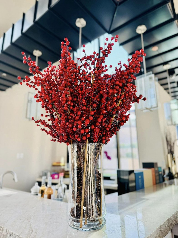 Đào đông đỏ cho năm mới sung túc, đầy đủ.