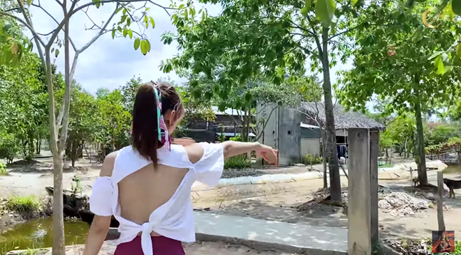 Qua đoạn video chia sẻ, có thể thấy nữ diễn viên trồng đủ các loại rau củ, cây ăn trái như dừa, mận, bầu, bí, nha đam...