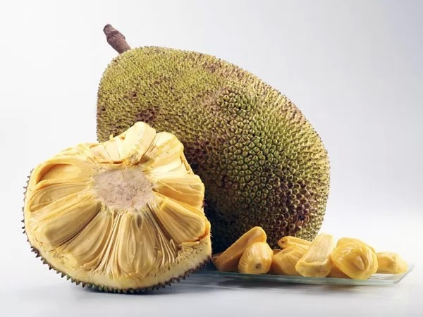 Hơn nữa, mít chín cây có vị ngọt thanh, bùi, giòn nhưng không cứng. Mít ngâm hóa chất có màu vàng óng nhưng múi mít cứng và sượng, cắn vào có vị lờ lợ. Nguồn ảnh: Internet.