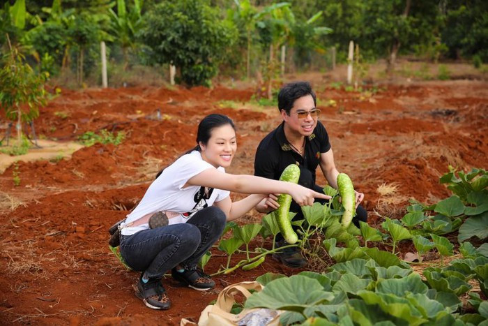 Trên mảnh đất này, Ngọc Sơn không chỉ có đủ loại cây ăn trái như sầu riêng, mít, bơ, chuối,…mà còn rất nhiều loại rau củ quả sạch.