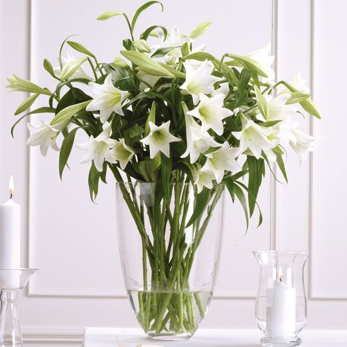 Hoa loa kèn dáng cao cũng thích hợp với cắm bình cao. Những chiếc bình cắm hoa loa kèn càng đơn giản, càng làm nổi bật vẻ tinh khôi của hoa. Ảnh: Pinterest.