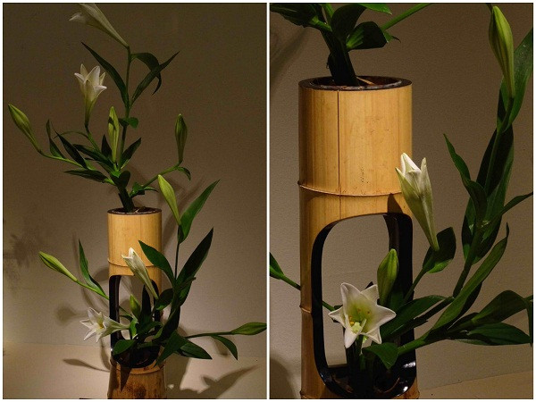Cắm loa kèn theo phong cách nghệ thuật Nhật Bản Ikebana, mỗi cành loa kèn có từ 2-3 bông. Ảnh minh họa.