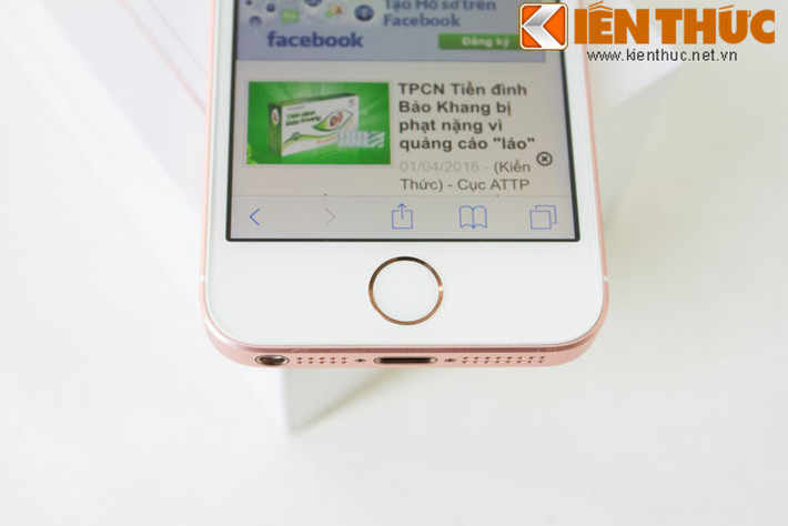 Cảm biến vân tay trên SE tương tự iPhone 6.