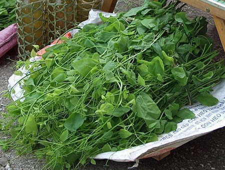 Chị Lan Hương (khu đô thị Dương Nội - Hà Nội) chia sẻ: "Giá rau bò khai cao hơn rất nhiều so với những loại rau khác nhưng ăn ngon miệng nên thi thoảng mình vẫn mua. Thường thì đầu mua rau khoảng tháng 2, giá rau sẽ rất đắt, nên chịu khó chờ tháng 3, tháng 4, rau nhiều và giá rẻ hơn".