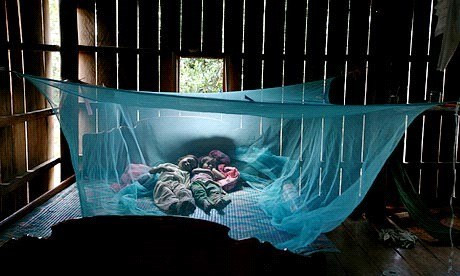 Tuy nhiên, khi sử dụng sản phẩm này, theo TS Phạm Thị Khoa, Trưởng khoa Hóa thực nghiệm, Viện Sốt rét - Ký sinh trùng - Côn trùng T.Ư tư vấn cần tìm hiểu kỹ chất diệt côn trùng trên màn: "Các chất diệt côn trùng pyrethroid được khuyến cáo dùng để tẩm màn tương đối tốt, không độc hại đối với người, động vật có vú và chim. Tuy nhiên, đối với trẻ nhỏ, khi nằm màn mới tẩm cần chú ý không để trẻ ngậm màn vào miệng. Màn bằng sợi tổng hợp mới xử lý với liều thuốc cao có thể gây triệu chứng dị ứng như cảm lạnh, hắt xì hơi, chảy nước mũi trong 1 - 2 tuần lễ nằm màn. Nếu liều thấp hơn có thể có tác dụng phụ kéo dài độ 1 ngày". Ảnh minh họa.