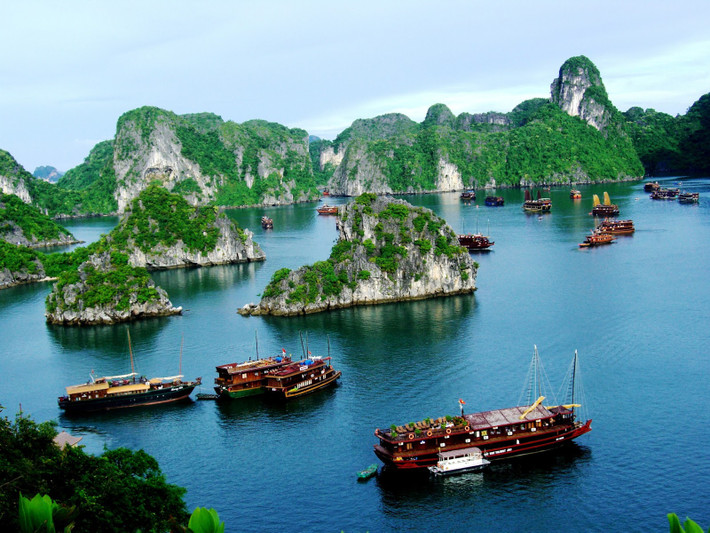 Hồi tháng 8/2015, báo CAND đưa tin về một du khách Hà Nội đã phản ánh tới đường dây nóng của Sở Văn hóa, Thể thao và Du lịch (VH, TT&DL) tỉnh Quảng Ninh về việc khách hàng này đã phải thanh toán số tiền 23 triệu đồng/một bữa ăn trên tàu du lịch. Sau khi cơ quan chức năng vào cuộc, du khách này đã được trả lại 7 triệu đồng cho bữa cơm bị "chém đẹp". Ảnh minh họa.