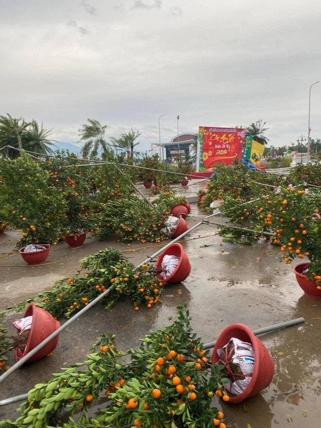 Hàng loạt các chậu hoa của một số tiểu thương tại Quảng Ninh, Hà Nội, Thái Nguyên, Bắc Giang... đổ la liệt, hư hỏng không thể tiếp tục bày bán khiến nhiều người sốt ruột.