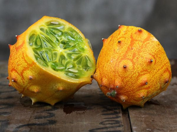 Không giống như dưa chuột bình thường, dưa Kiwano là một loại trái cây kỳ lạ, vẻ ngoài trông rất đặc biệt với vỏ màu vàng đầy gai. Ảnh: Getty