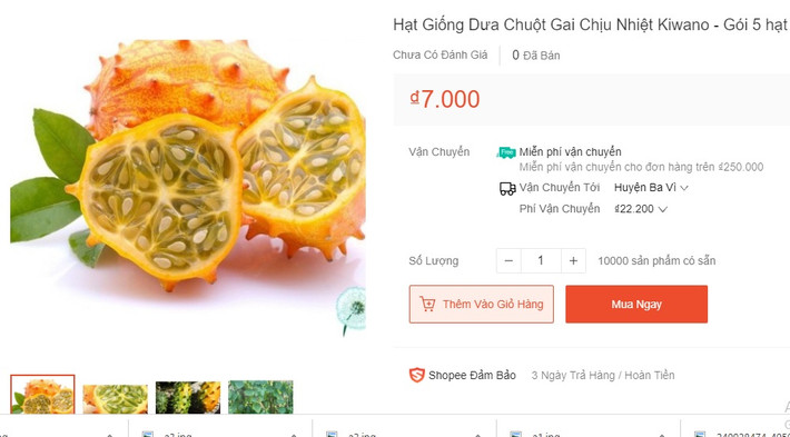 Tuy nhiên, hiện tại, trên một số sàn thương mại điện tử ở Việt Nam hạt giống dưa chuột vỏ vàng có giá 7.000/gói (5 hạt). Ảnh chụp màn hình.
