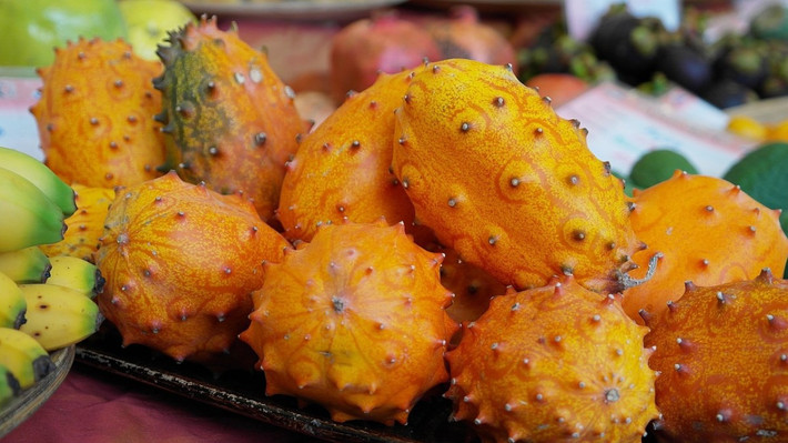 Dưa chuột Kiwano có nguồn gốc từ miền trung và miền nam châu Phi, đặc biệt là vùng hoang mạc Kalahari bởi giống dưa này có thể phát triển tươi tốt mà không cần cung cấp quá nhiều nước. Ảnh: Printest
