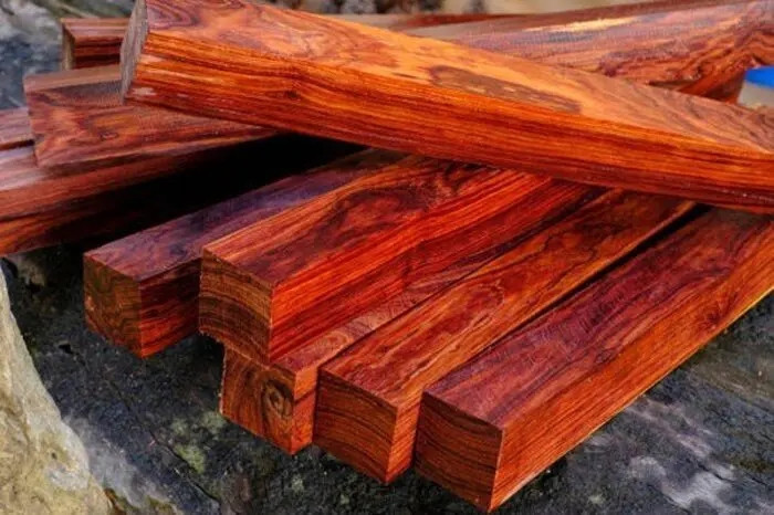Với chất lượng tốt và nguồn cung khan hiếm, giá gỗ trắc đỏ có thể chạm mốc 500 triệu đồng/m3, tùy theo tình hình thị trường. Ảnh: NoithatHaAnh