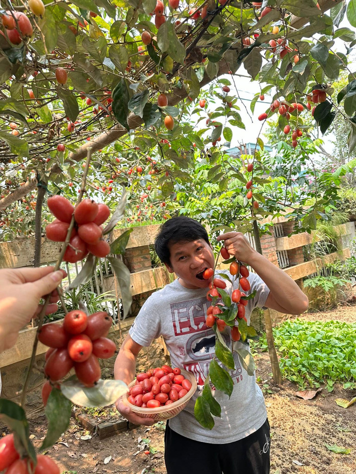 Nhiều bạn bè, khán giả khen nam ca sĩ mát tay trồng cây trong vườn. Ảnh: FB ca sĩ Trọng Tấn