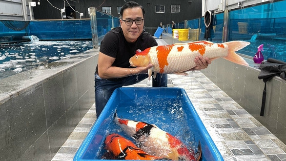 Tuy nhiên, sau hơn một năm gần ít xa nhiều, cặp đôi chính thức "đường ai nấy đi" khiến nhiều người bất ngờ. Ảnh: FB Thang Ngo Koi Farm