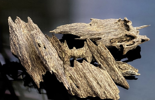 Gỗ trầm hương được mệnh danh là "gỗ của các vị thần" bởi nó không chỉ mang lại những lợi ích về mặt đời sống, mà còn tác dụng ở khía cạnh phong thủy, tâm linh. Ảnh minh họa