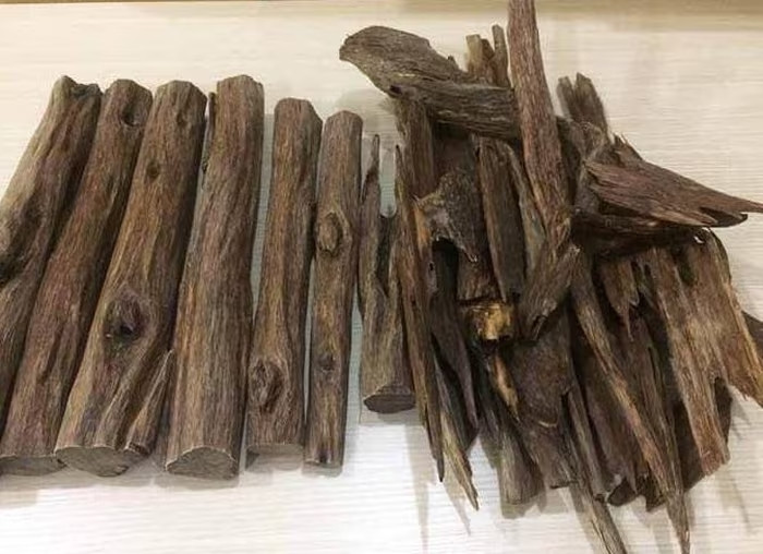 Do sự hình thành ngẫu nhiên và hiếm gặp, không phải cây dó bầu nào cũng có trầm. Trong hàng trăm, hàng ngàn cây, may ra chỉ có một cây cho ra được trầm hương chất lượng. Ảnh minh họa