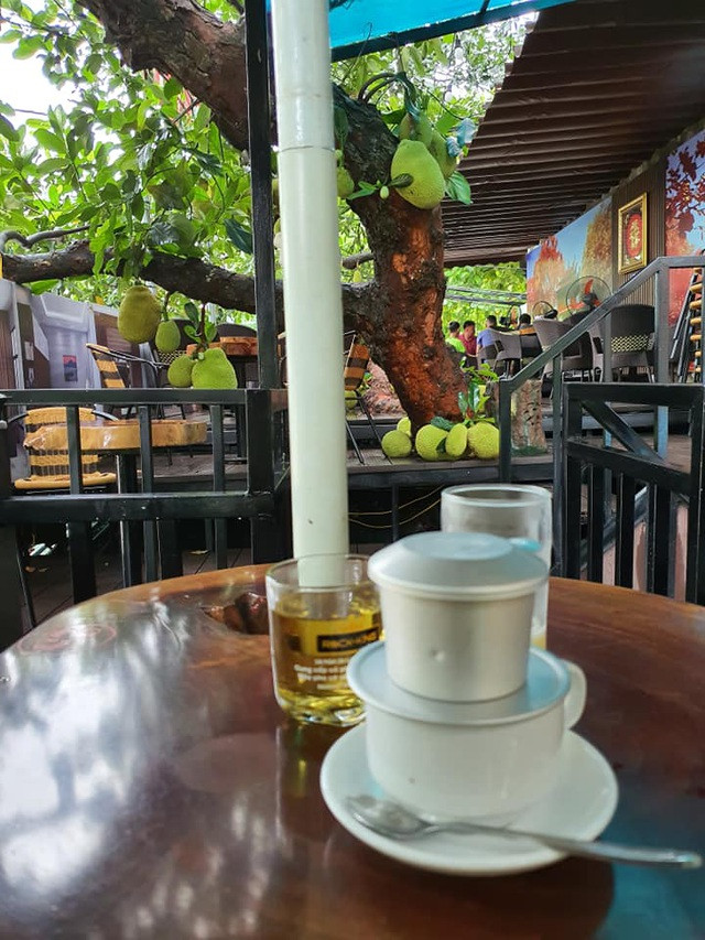 Quả mít còn "đậu" xuống cả sàn nhà tạo thành từng chùm khiến dân mạng vô cùng thích thú.