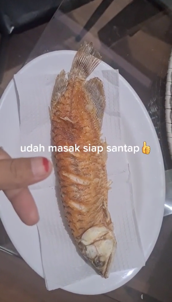 Hành động xử đẹp cá cảnh tiền tỷ của người vợ khiến dân mạng ngỡ ngàng bởi loài cá này không chỉ hiếm mà còn rất khó kiếm.