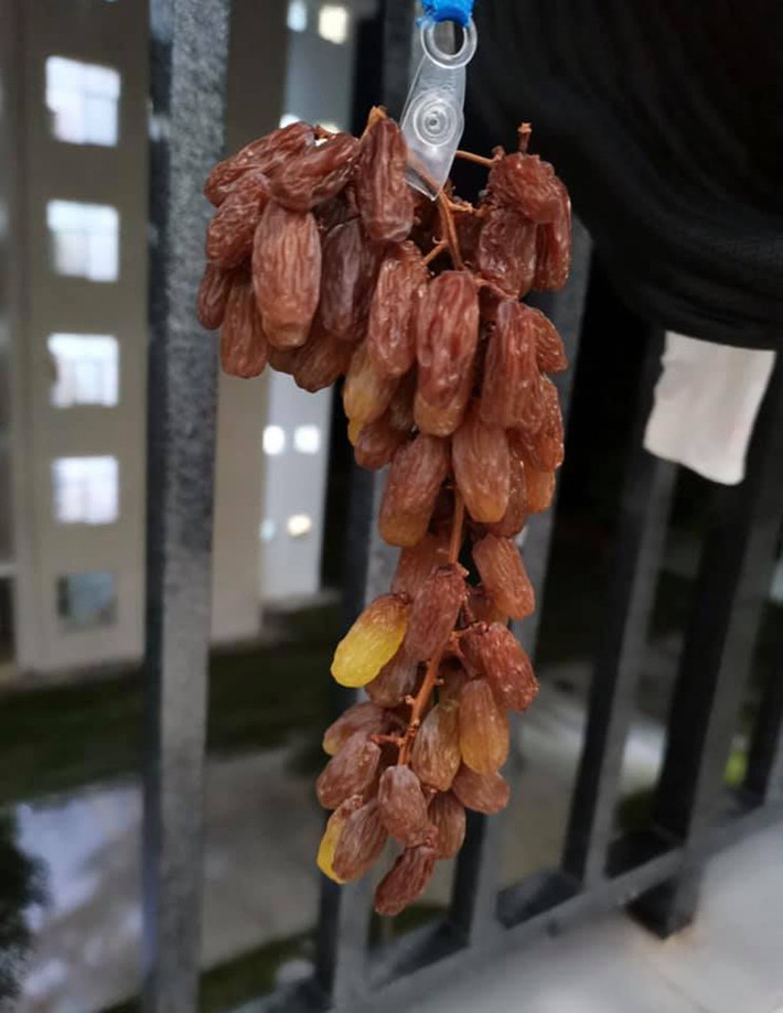 Chùm nho mọng quả được treo trên ban công. Sau đó là hàng loạt những tấm ảnh ghi lại quá trình biến nho tươi thành nho khô.