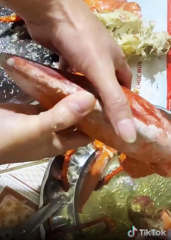 Trong đoạn clip mới được chia sẻ bởi một thành viên MXH TikTok, cư dân mạng đã vô cùng ngạc nhiên khi chứng kiến cảnh chú tôm hùm nặng 3,5kg nhưng khi hấp chín và đập ra chỉ toàn... nước bên trong.