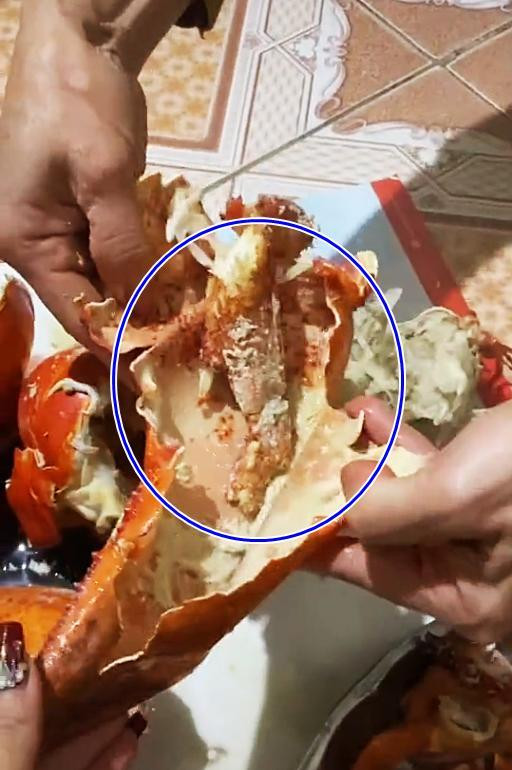 Bên cạnh đó, khổ chủ đã phải thốt lên rằng đây sẽ là lần cuối cùng quyết định đặt mua online món đồ xa xỉ này, nghe lời dân mạng khuyên lần sau cứ ra cửa hàng hải sản tươi sống để chọn cho yên tâm.