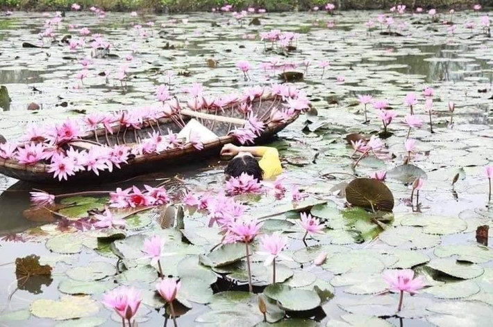 Vì không giữ được thăng bằng nên chiếc thuyền đã bị lật nghiêng sang một bên và kết quả là người mẹ ngã nhào xuống sông.