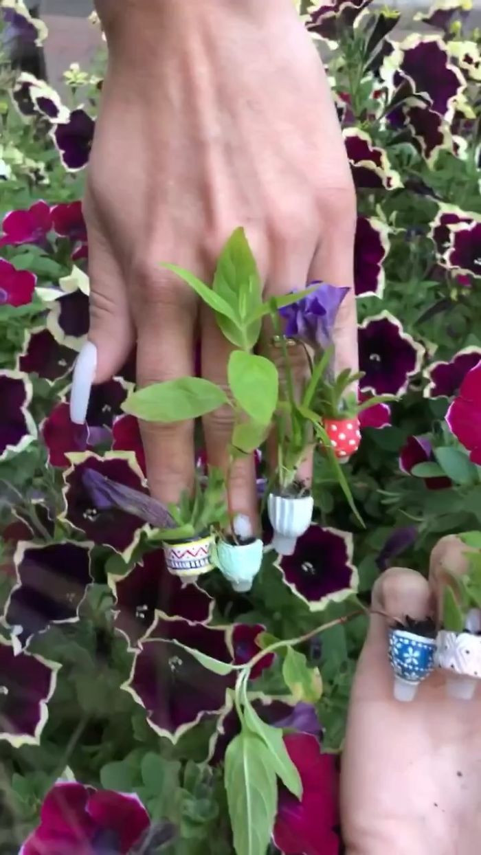 Một bộ nail mô phỏng lại những chậu cây từng được tiệm Sunny thực hiện và nhận về nhiều sự chú ý của netizen.