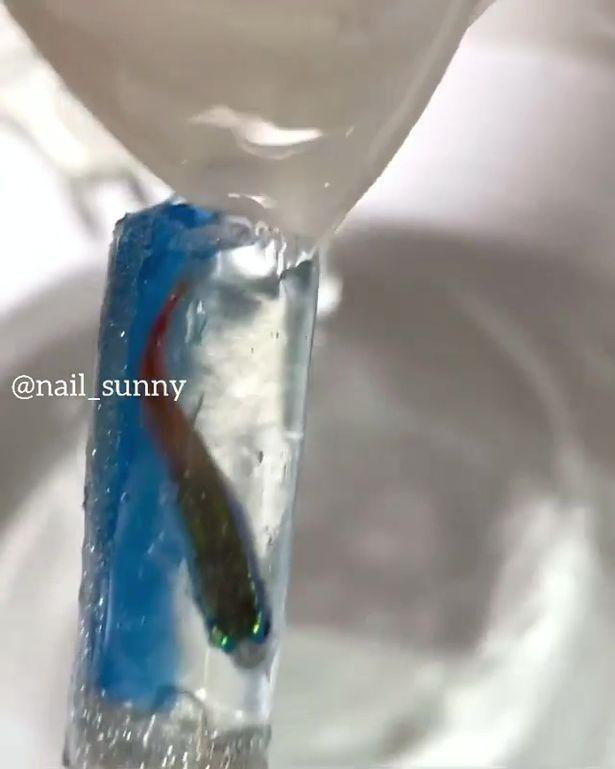 Theo đó, đoạn video mở đầu với cảnh nhân viên làm nail đang tạo hình và phủ nước sơn cho "chiếc bể cá thu nhỏ" trước khi dán lên móng tay. Tiếp đến là cảnh 5 chú cá đang tung tăng bơi lội trong một chiếc bể khá cạn, thế rồi một chú đã bị bắt lên để cho vào "chiếc bể nước nhân tạo".