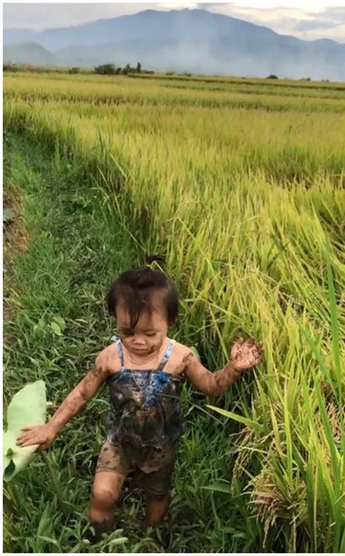 Chưa hết, cô còn chụp ảnh lại làm bằng chứng chứng minh cho mẹ rằng "con gái nghịch ngợm" của mẹ mò ra ruộng để mò ốc.