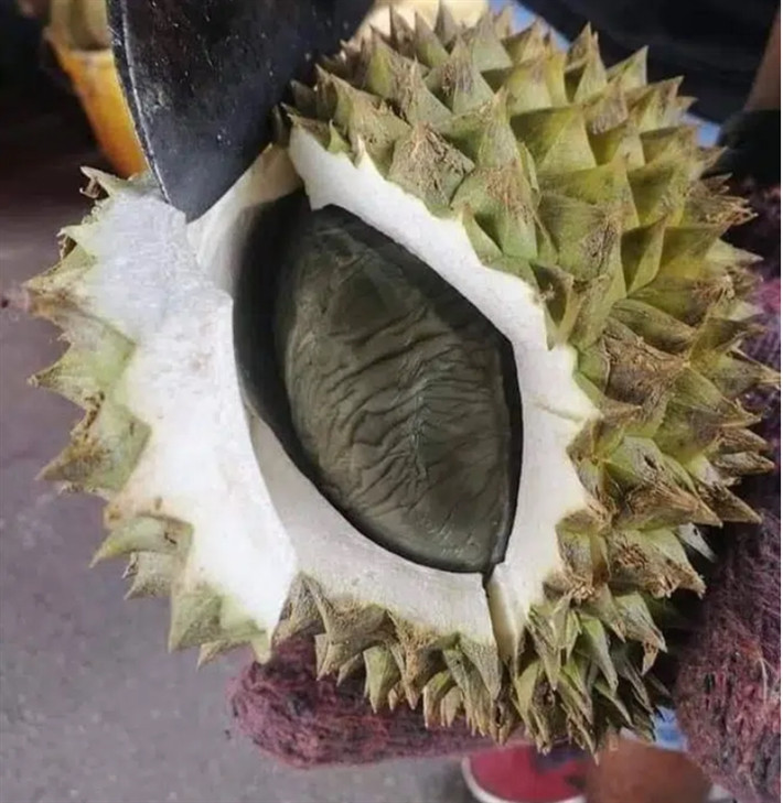 Sầu riêng là món khoái khẩu của nhiều người bởi vị ngọt, béo ngậy của mình.