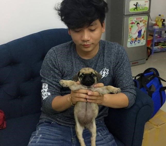 Youtuber Khoa Pug còn khiến dân mạng phấn khích khi tung nhiều vlog với nội dung "chủ tịch giả nghèo" đi khách sạn 5 sao, mua đồng hồ Rolex ở Thượng Hải,...