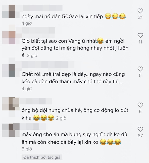 Hiện cả 3 chú chó đang dần trở nên nổi tiếng trên mạng xã hội bởi những đoạn clip dễ thương này. Bạn có thấy chúng đáng yêu không, hãy chia sẻ cho chúng tôi biết nhé.