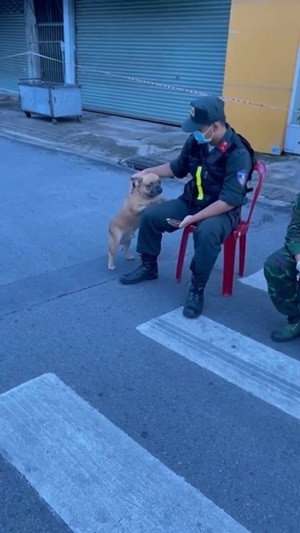Có lẽ vì chúng khá dễ thương nên các chiến sĩ đang làm nhiệm vụ cũng sẽ thỉnh thoảng trêu đùa hay thậm chí là cho ăn giống như trên.
