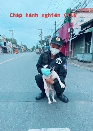 Tuy nhiên không phải lần nào 3 chú chó cũng được các chiến sĩ trực chốt chống dịch “khoan hồng” như vậy.