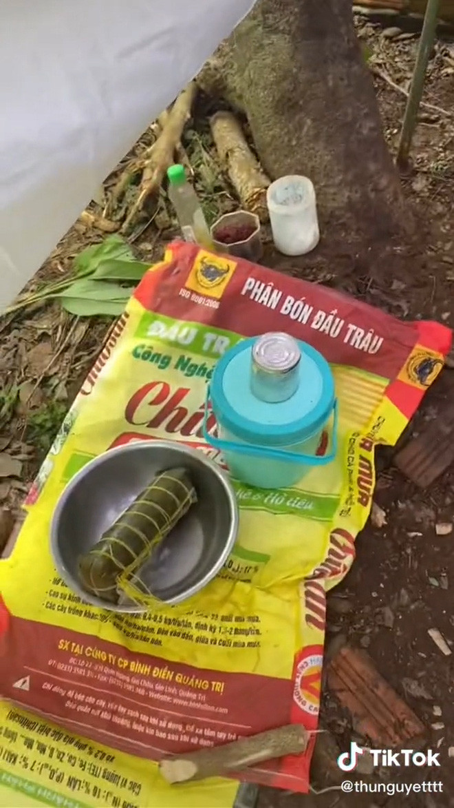 Điểm đặc biệt nằm ở chỗ, không phải phòng riêng hay nhà riêng, cô gái này đã được ba mẹ dựng luôn cho 1 căn lều bằng bạt ra sau vườn để ở một mình ngoài đó.
