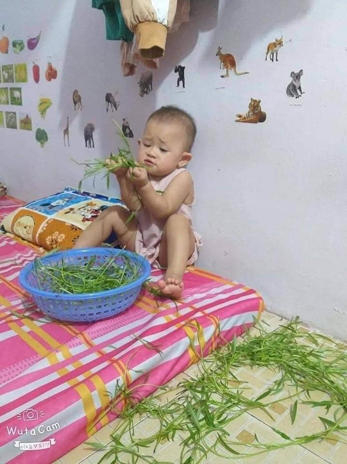 Nhìn mẹ nhặt rau, bé gái này cũng thể hiện tài "nữ công gia chánh" nhưng phiên bản phá hoại.