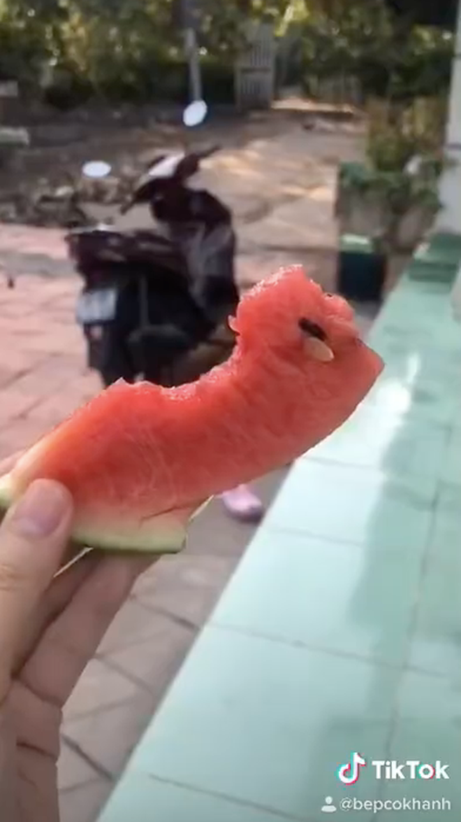 Một số phản hồi của dân mạng: "Mọc hoang ở đây là các em đã chọn cái kết rồi" hay "Hên quá, chả bù cho nhà mình tự trồng mà trắng ởn, có năm vứt đi một nửa".