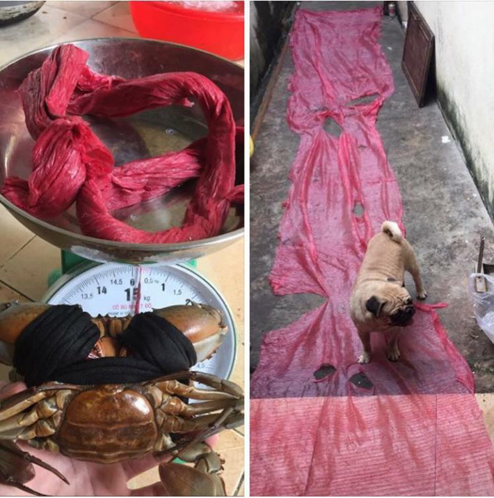 Trước đó, cộng đồng mạng từng nhiều phen cười ra nước mắt với những màn "mua dây được khuyến mãi cua" nhìn mà thấy tức.